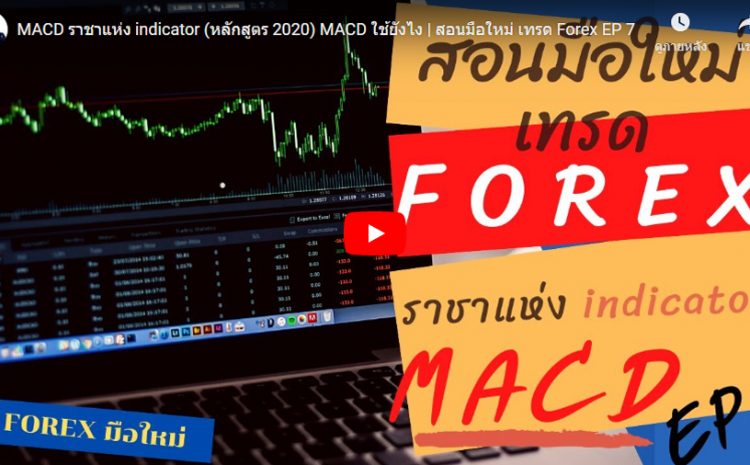  MACD ราชาแห่ง indicator (หลักสูตร 2020) MACD ใช้ยังไง | สอนมือใหม่ เทรด Forex EP 7