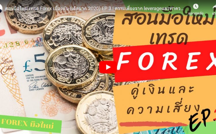  สอนมือใหม่ เทรด Forex เบื้องต้น (เด็ดมาก 2020) EP 3 | ความเสี่ยงจาก leverageและทำความรู้จักค่าเงิน